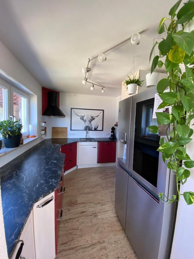Willa Ferienhaus Alpenblick Auf'M Vorderberg Leutkirch im Allgäu Zewnętrze zdjęcie